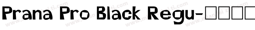 Prana Pro Black Regu字体转换